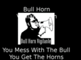 bullhornvigilante.com