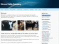 elmorecattle.com