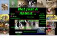 hoppybunnyrabbit.com