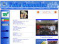 volleyvallecamonica.net