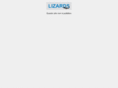 lizonwork.com