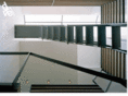 divearchitects.com