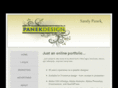 panekdesign.com