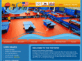 thetopspin.com