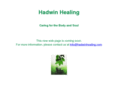 hadwinhealing.com