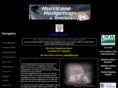 hurricanehedgehogs.com