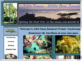 idletimesjamaica.com