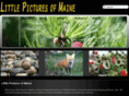 littlepicturesmaine.com