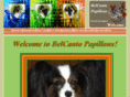 belcantopapillons.com