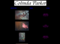 colindaparker.com