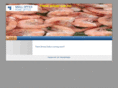 freshshrimpdaily.com