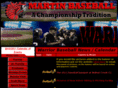 martinbaseball.com