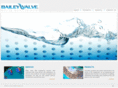 polyjetvalves.com