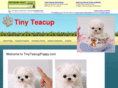 tinyteacuppuppy.com