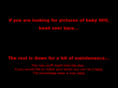 bradt.org