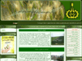 esfahansamak.com