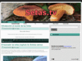 setas.tv