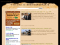 basiccargopants.com