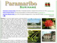 paramaribo.com