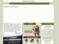tampabaypuppies.com