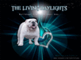 the-livingdaylights.com