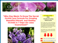 theorchidresource.com