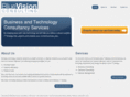 bluevisionconsulting.com