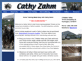 cathyzahmdrafttraining.com