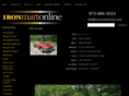 ragtopvette.com