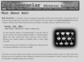 bobsonenclar.com