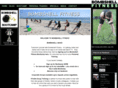 bombshellfitness.com.au