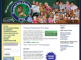 bunkerhillpta.com