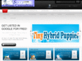 needlocalleads.com