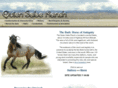 originalhorses.org
