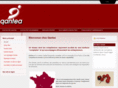 qantea.com