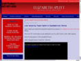 teamsplittblog.com