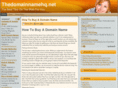 thedomainnamehq.net
