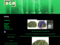 benjamingifts.com