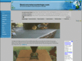 bestconcretecountertops.com