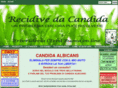 candidarecidivante.com