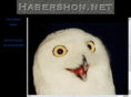 habershon.net