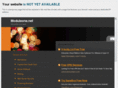 moduleone.net