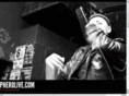 pherolive.com