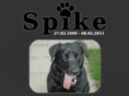 spikedog.co.uk