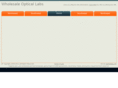 wholesaleopticallabs.com