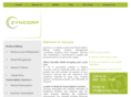 zyncorp.com