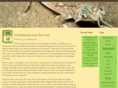 desertgeckos.com