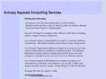entropyorganizing.com