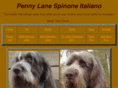 pennylanespinone.com