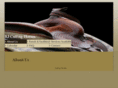 rjcuttinghorses.com